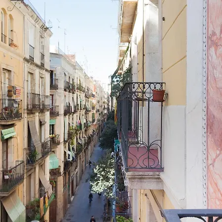 Canela Homes Macba *