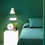 Canela Homes Macba
